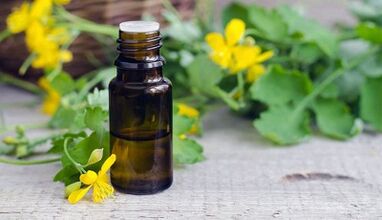 Sok Celandine do leczenia grzyba paznokci